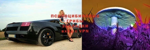 герыч Елабуга