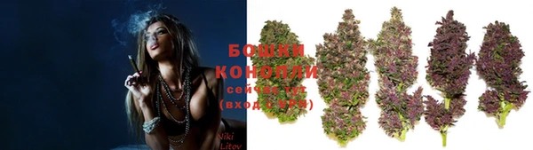 метадон Ельня