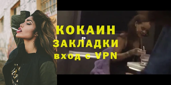 метадон Ельня