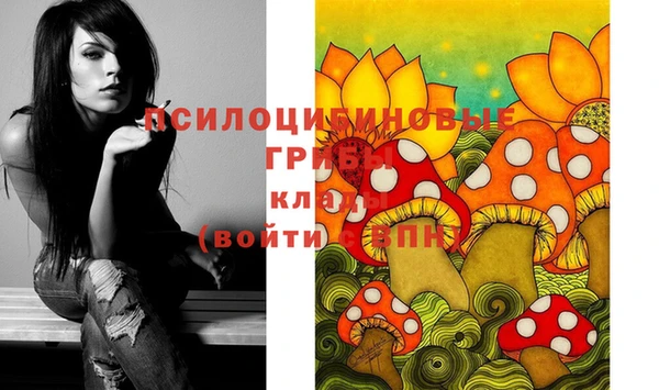 гидропоника Елизово