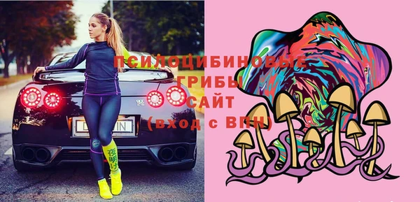 метадон Ельня