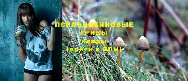 гидропоника Елизово