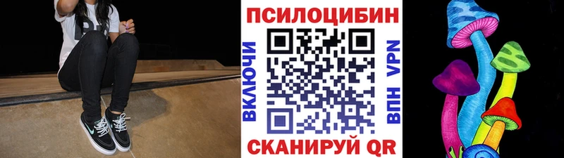 Купить где  Ивангород  Галлюциногенные грибы Psilocybe 